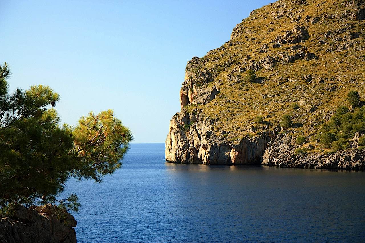 sa calobra tour